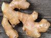 Ginger