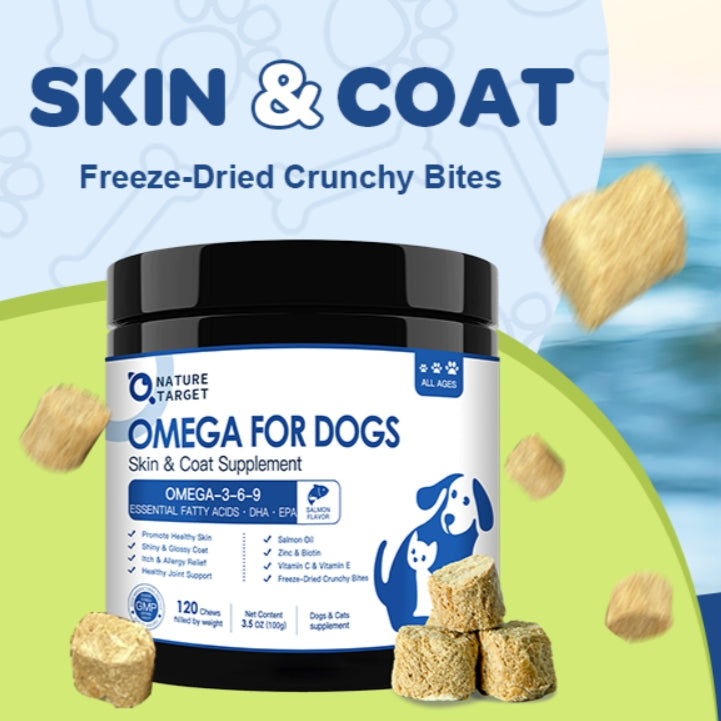 The Complete Guide to Fish Oil for Dogs Benefits, Dosage, and Potenti