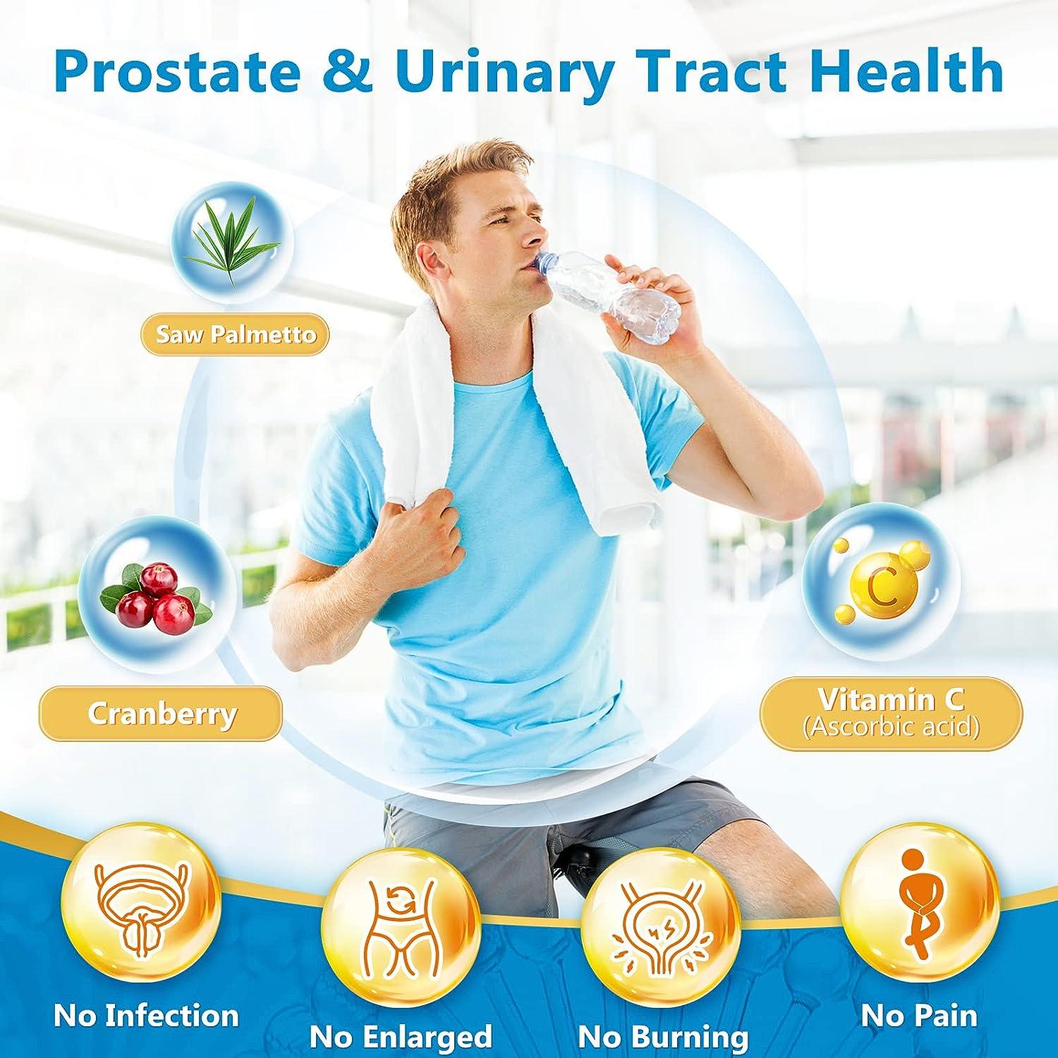 Probiotics promote male prostate and urinary tract health