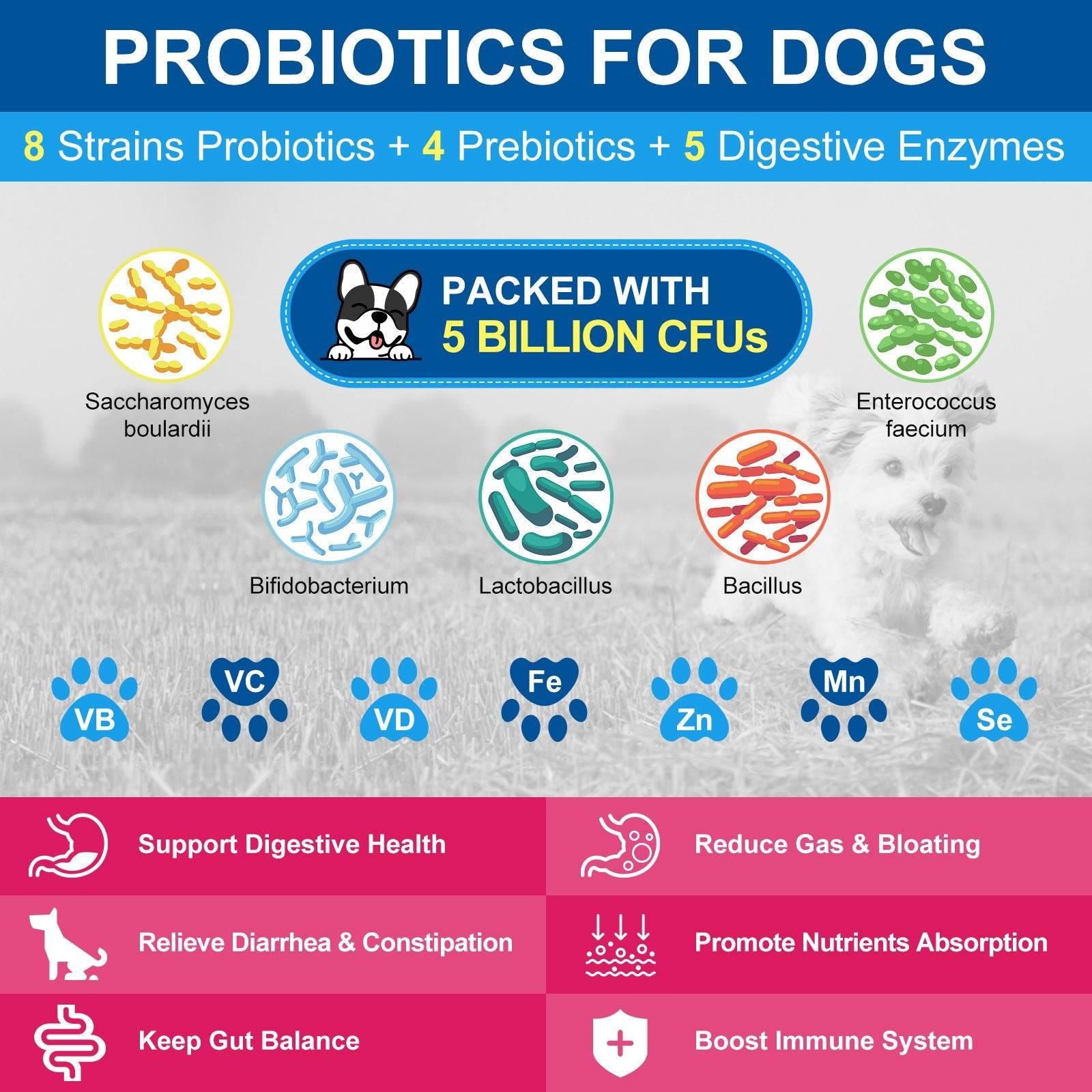 PROBIOTICS FOR DOGS
