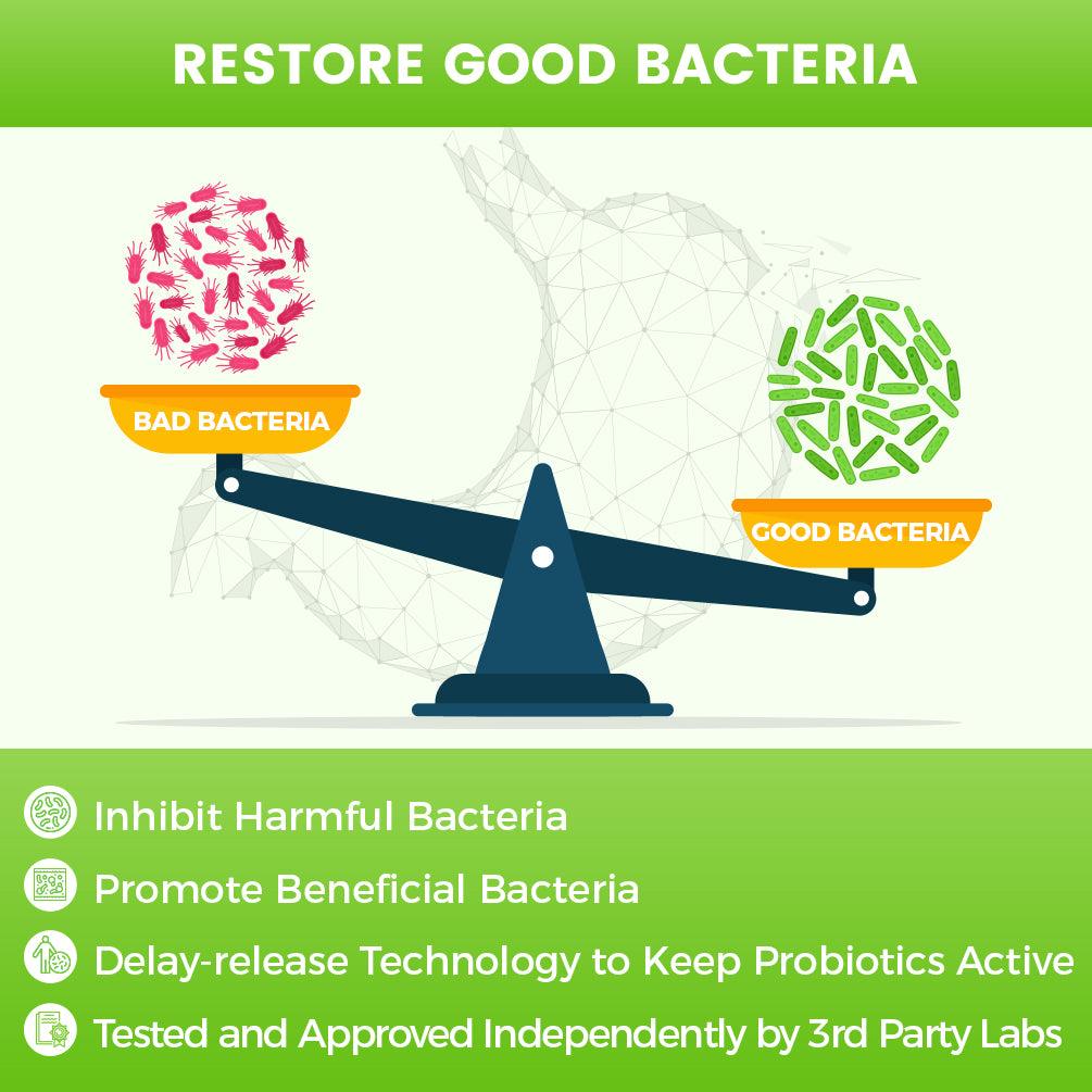 Probiotics help the body restore good bacteria