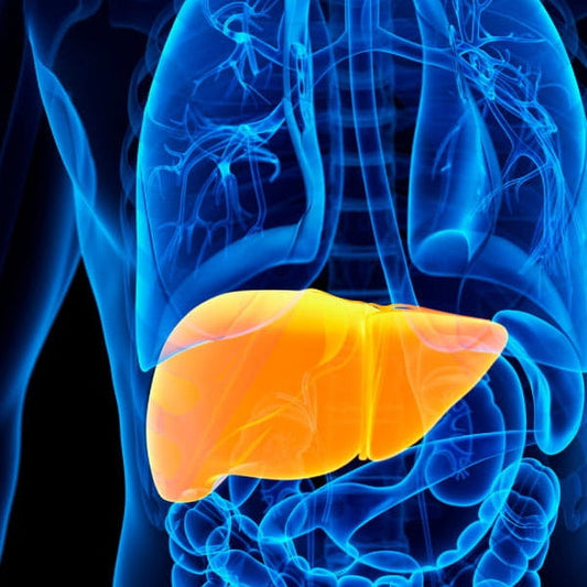 Fatty-Liver-Disease