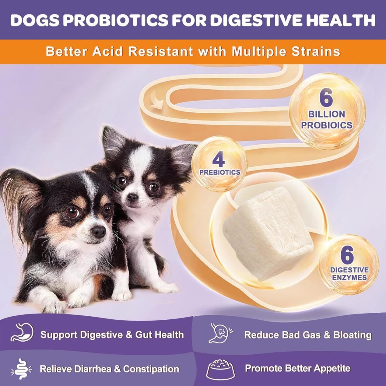 How Probiotics Improve Your Dog's Immune System – Nature Target