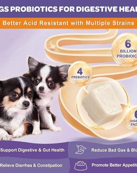 How Probiotics Improve Your Dog's Immune System