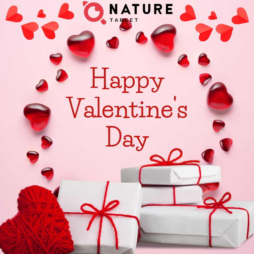 Elevate Your Valentine's Day Gifts Ideas with Health-Conscious Choices in 2024