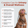 Cranberry Supplement for Dogs, 200mg Cranberry + 100mg D-Mannose, Chicken Flavor, 120 Soft Chews
