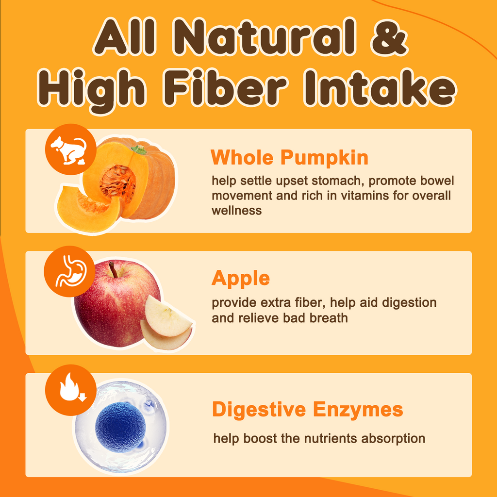 Pumpkin Digestive Mix for Dogs – Fiber + Enzymes for Stool & Gut Relief