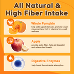 Pumpkin Digestive Mix for Dogs – Fiber + Enzymes for Stool & Gut Relief