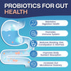 SBO Probiotics + Prebiotics for Gut Health, 60 Billion CFUs