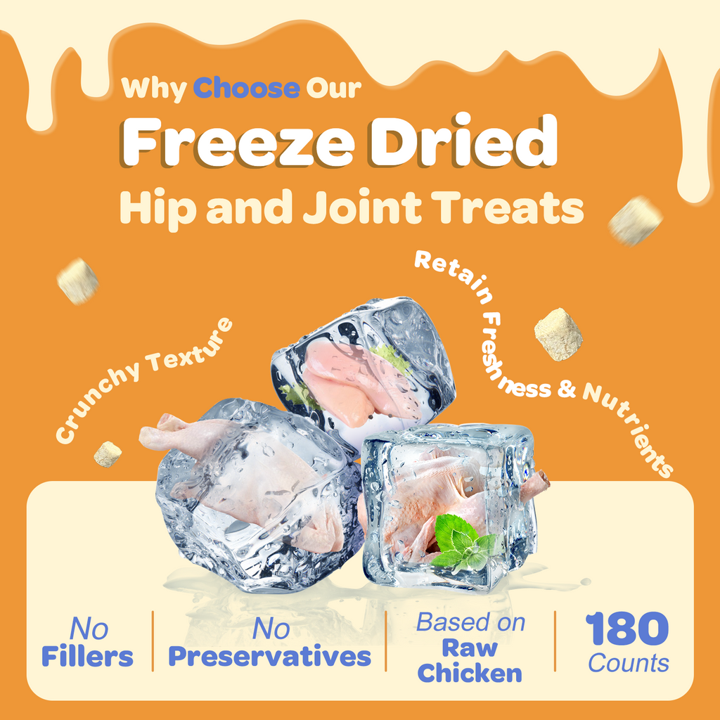 Glucosamine Chews for Dogs – Joint Support with Chondroitin, MSM & Omega-3