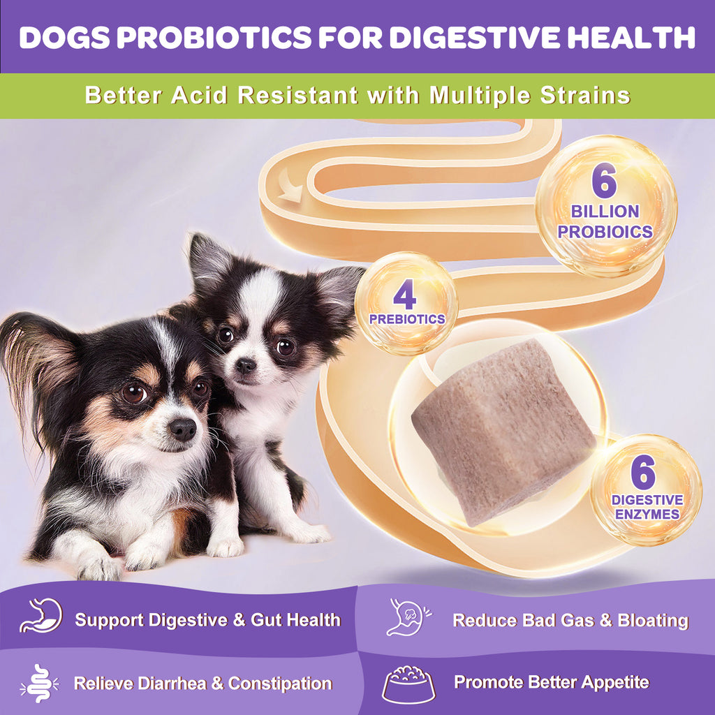 Dogs & Cats Omega-3 Duck Flavor Probiotics,Vitamins and Omega 3, 120 Chews