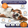 Digestive and Allergy Support Probiotics Chews for Dogs with Prebiotics Enzymes and Multivitamins 120 Chews
