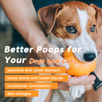 Pumpkin Digestive Mix for Dogs – Fiber + Enzymes for Stool & Gut Relief
