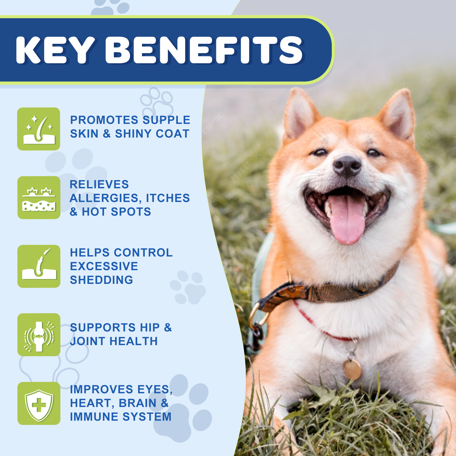 Dogs & Cat Probiotics with Omega 3 Fish Oil EPA & DHA Fatty Acids, 180 Tablets