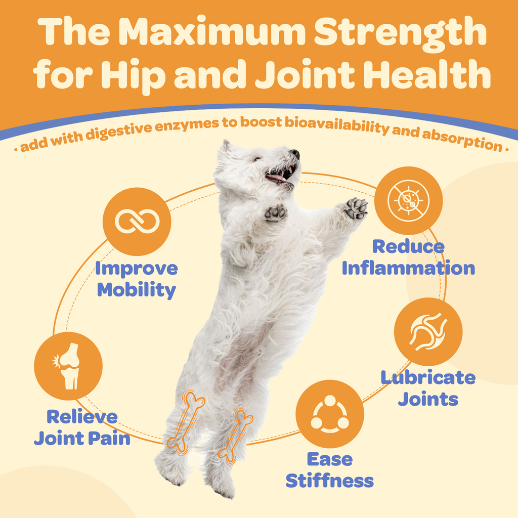 Glucosamine Chews for Dogs – Joint Support with Chondroitin, MSM & Omega-3