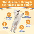 Glucosamine Chews for Dogs – Joint Support with Chondroitin, MSM & Omega-3