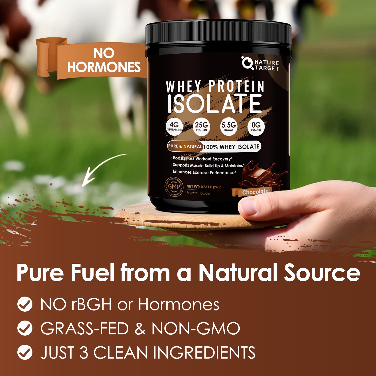 Chocolate Protein Powder, Whey Protein Isolate, 25G Protein/Serving