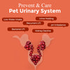 Cranberry Supplement for Dogs, 200mg Cranberry + 100mg D-Mannose, Chicken Flavor, 120 Soft Chews