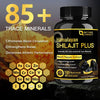 Pure Shilajit Extract 500mg High Potency Capsules Fulvic Acid and Trace Minerals