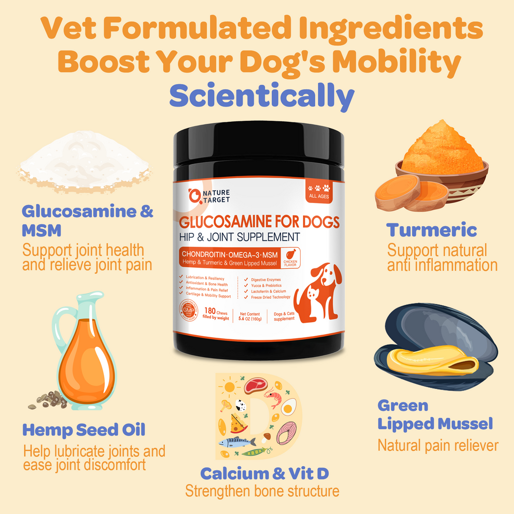Dogs Glucosamine Chews with Chondroitin + MSM + Omega-3 for Joint Supp ...