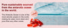Krill Oil 2000mg with Omega-3 + Astaxanthin, 60-Day Supply