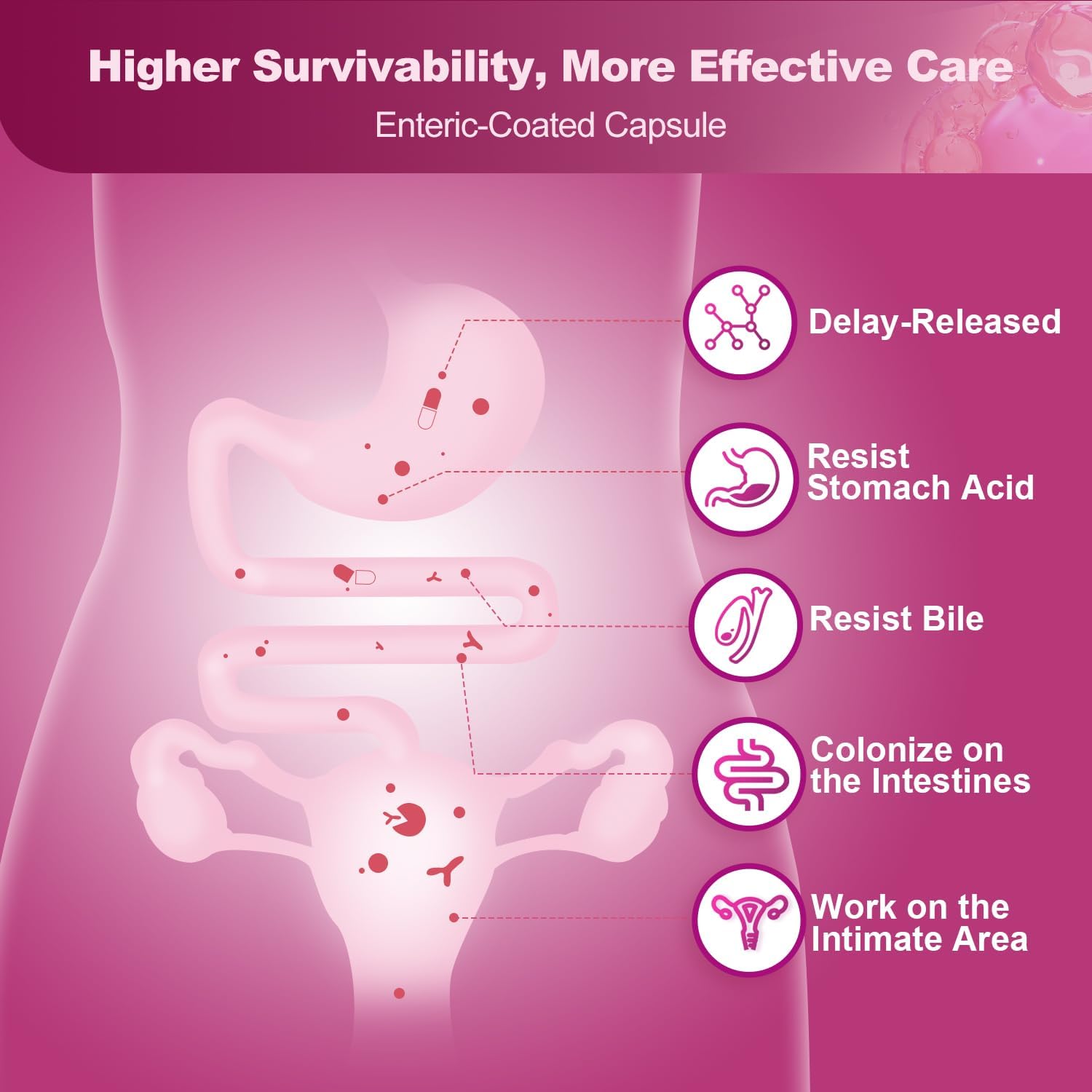 Nature Target Probiotics for Women Benefits