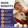 Digestive and Allergy Support Probiotics Chews for Dogs with Prebiotics Enzymes and Multivitamins 120 Chews