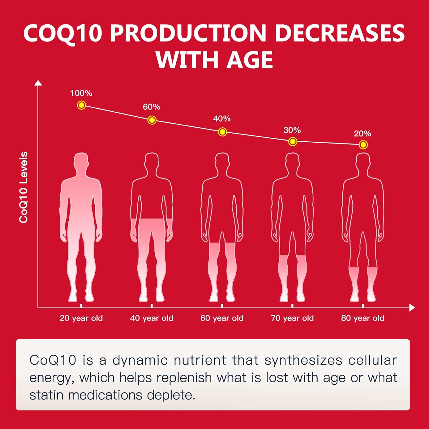 CoQ10 is a dynamic nutrient