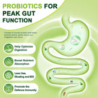 Probiotics For Peak Gut Function