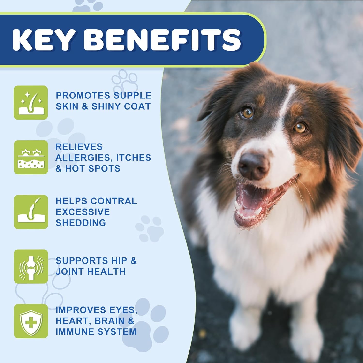 Omega 3 Fish Oil for Dogs & Cats- Salmon Oil with EPA & DHA Fatty Acids ...
