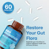 SBO Probiotics + Prebiotics for Gut Health, 60 Billion CFUs