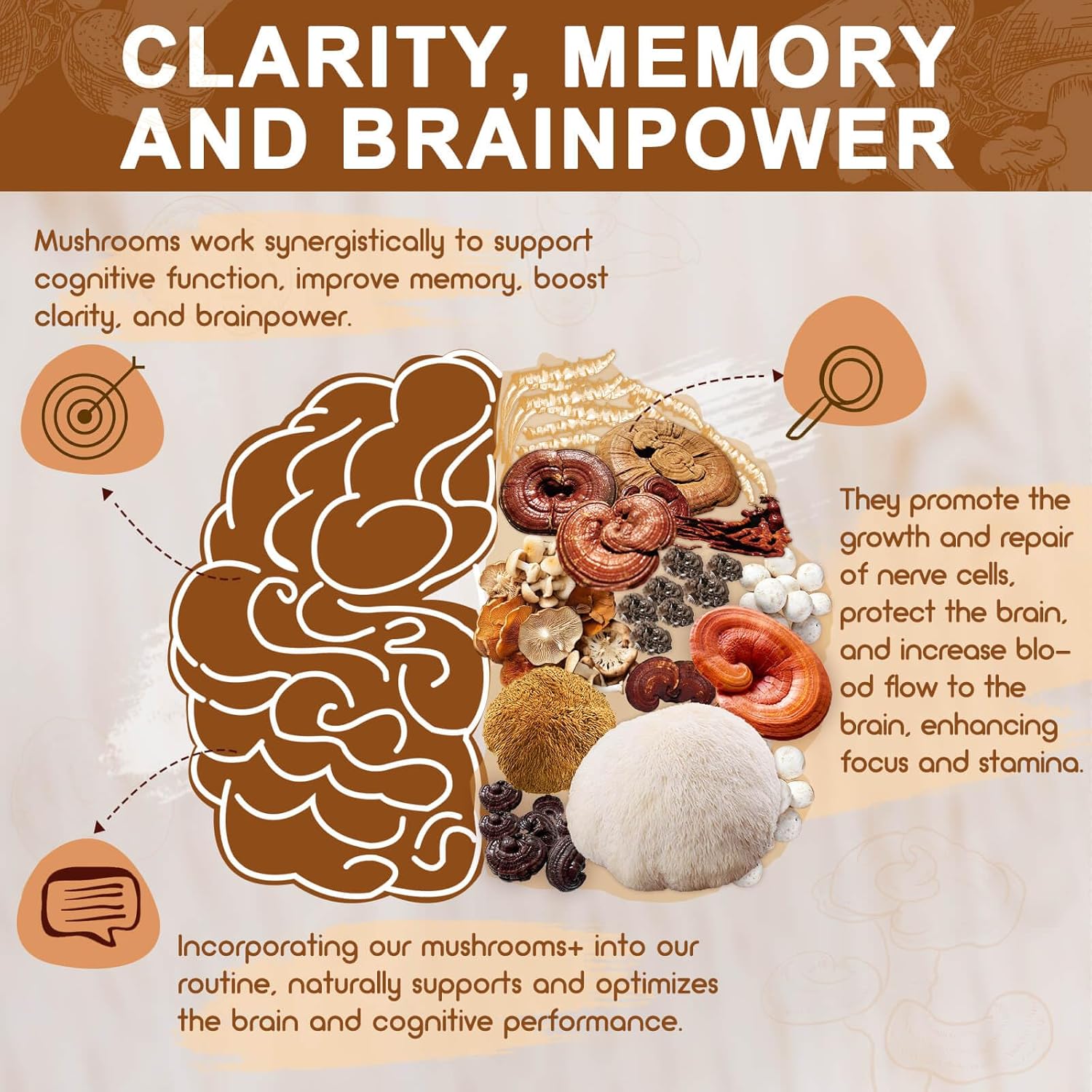 ❤マカロンナさま❤NoteMakingEnergy❤ Mushroom Supplement, 14-IN-1 Complex Lions Mane Supplement