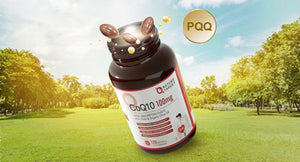CoQ10-100mg-Included-PQQ