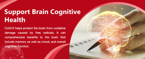 CoQ10-400mg-supports-brain-cognitive-health
