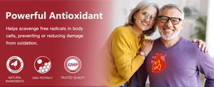 CoQ10-A-powerful-antioxidant