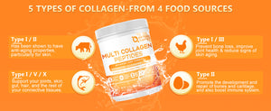 Five-types-of-collagen-derived-from-four-food-sources