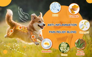 Glucosamine Chews Supplement for Dog & Cat