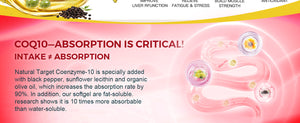 Highly-Absorbable-CoQ10