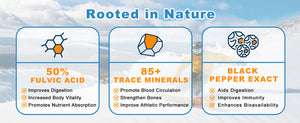 Himalayan-Shilajit-Capsules-Rich-in-50-Fulvic-Acid-85-Trace-Minerals-contains-black-pepper-extract