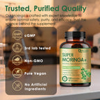 Moringa Capsules, from Pure Moringa Leaves, for Immune, Daily Wellness Supplement