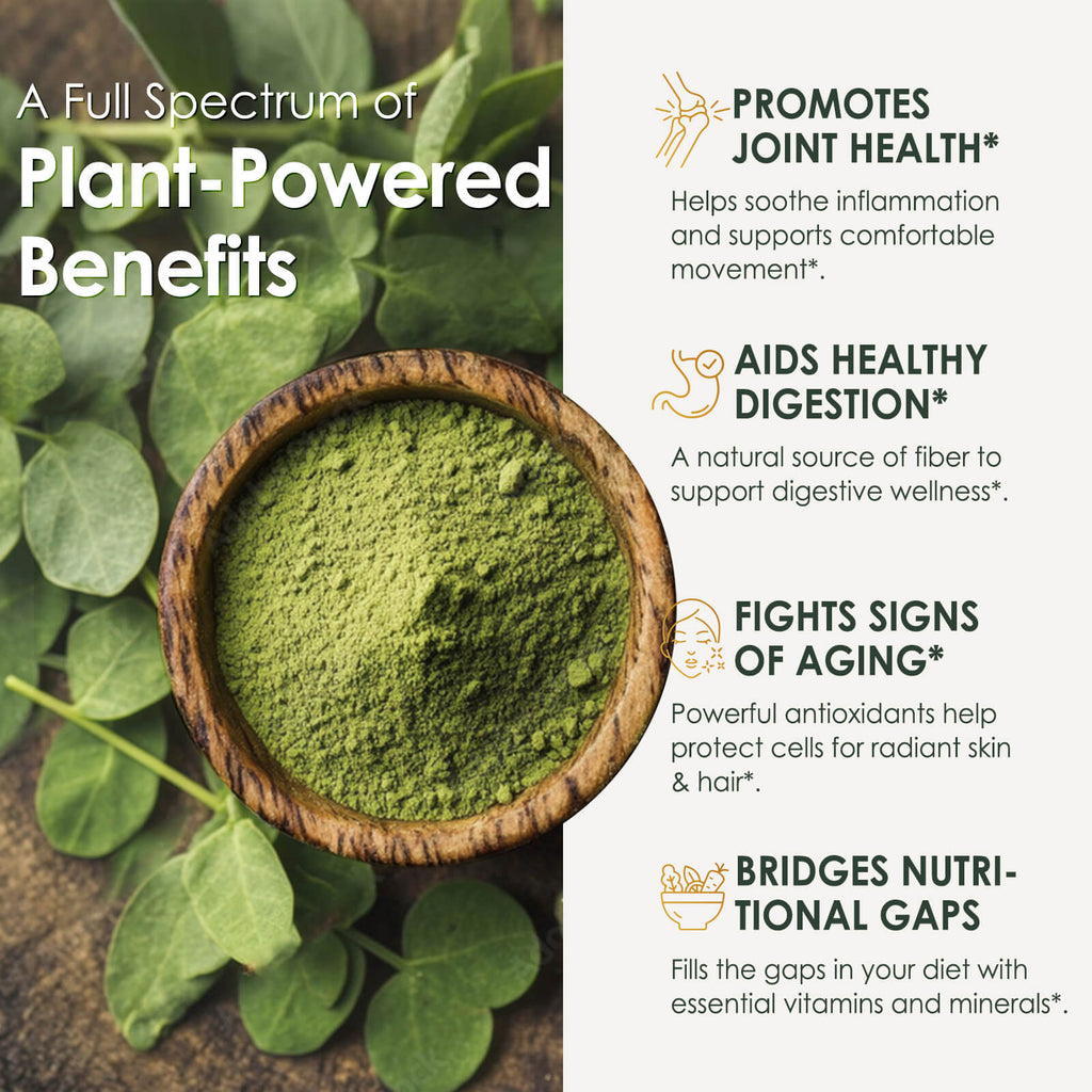 Moringa Capsules, from Pure Moringa Leaves, for Immune, Daily Wellness Supplement