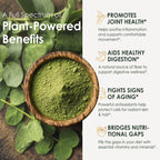 Moringa Capsules, from Pure Moringa Leaves, for Immune, Daily Wellness Supplement