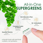 Moringa Capsules, from Pure Moringa Leaves, for Immune, Daily Wellness Supplement