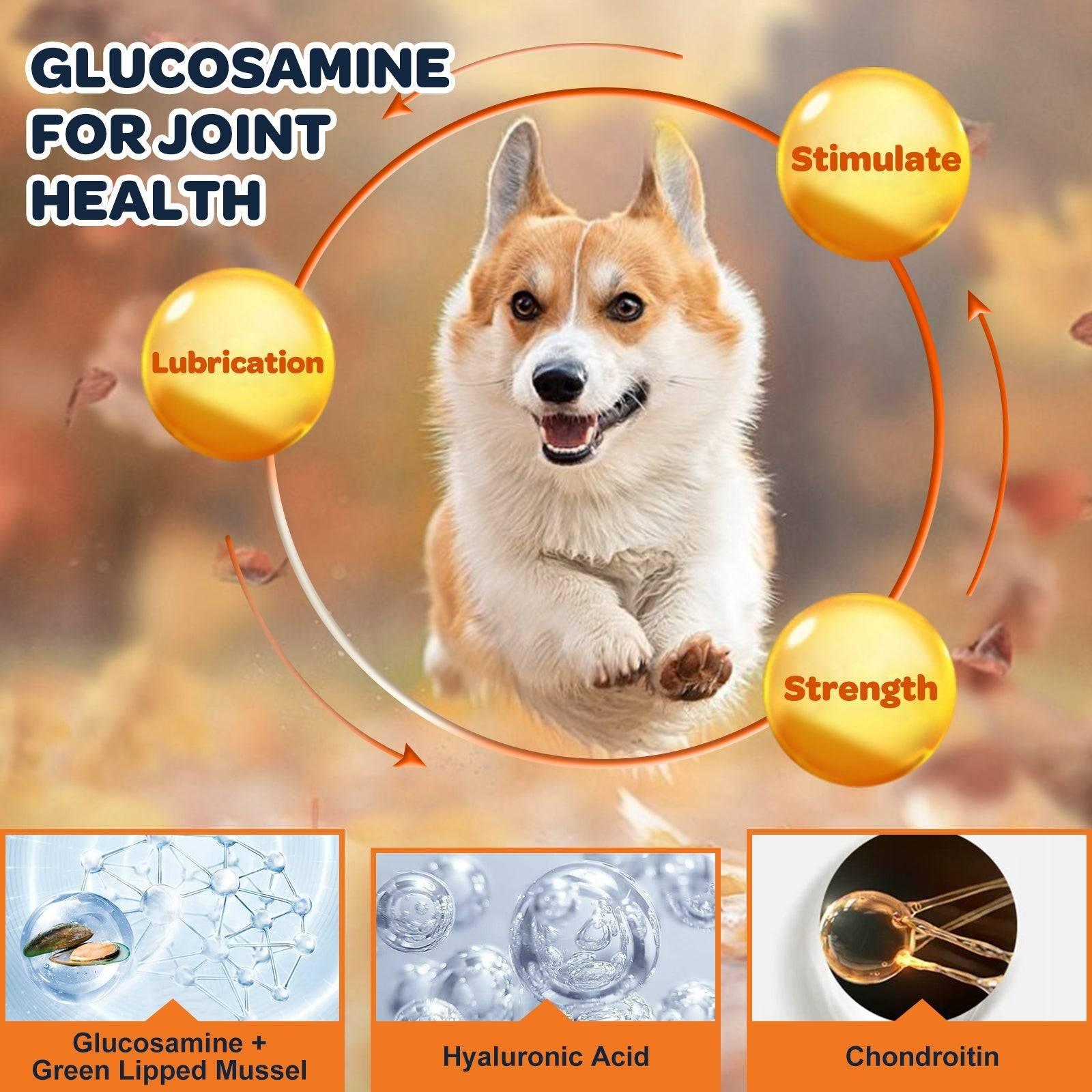 Glucosamine Chews for Pet Dog, with Skin, Coat, Digestive and Immune ...