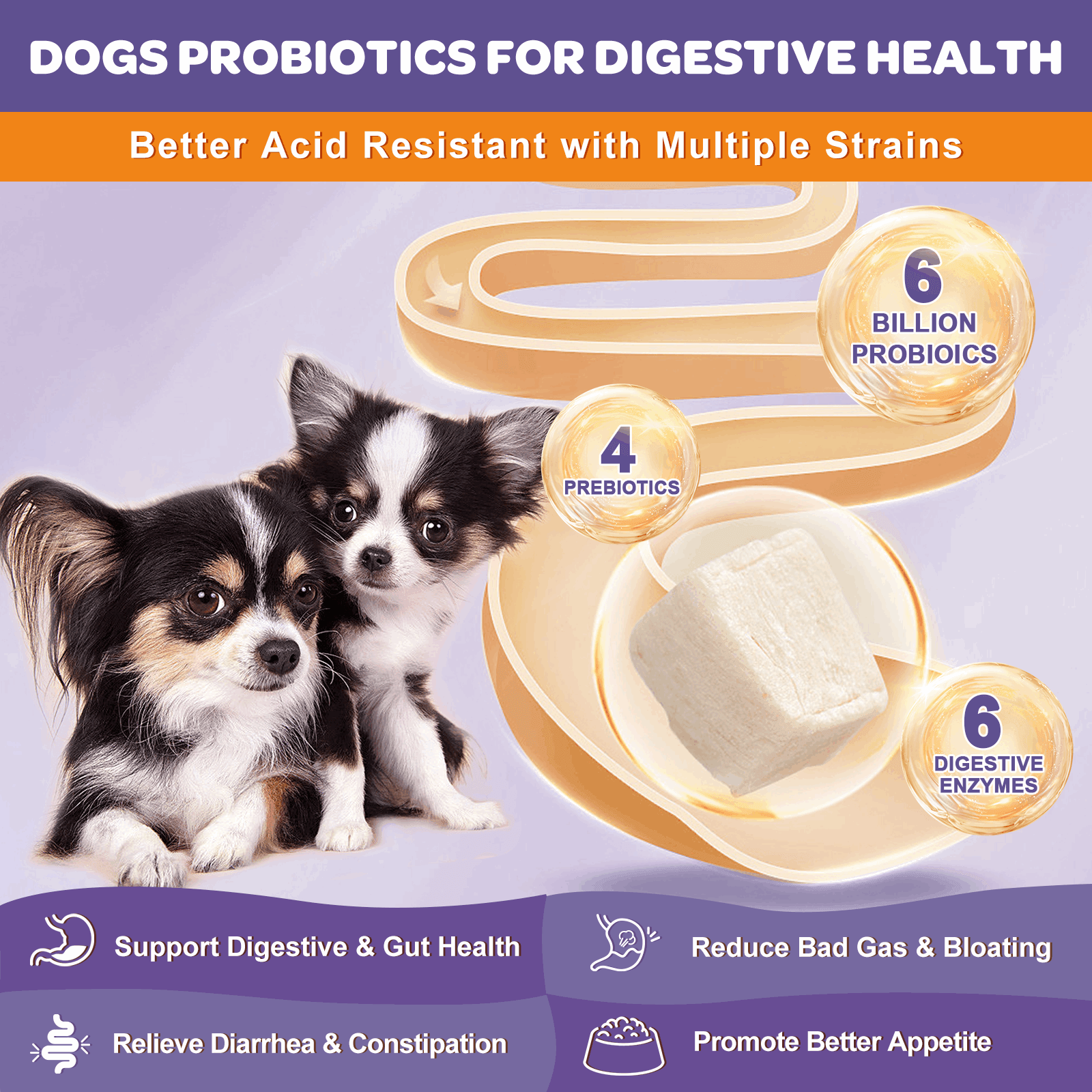 NATURE TARGET Probiotics for Dogs 6 Billion CFUs Reduce Diarrhea&Gas Nature Target