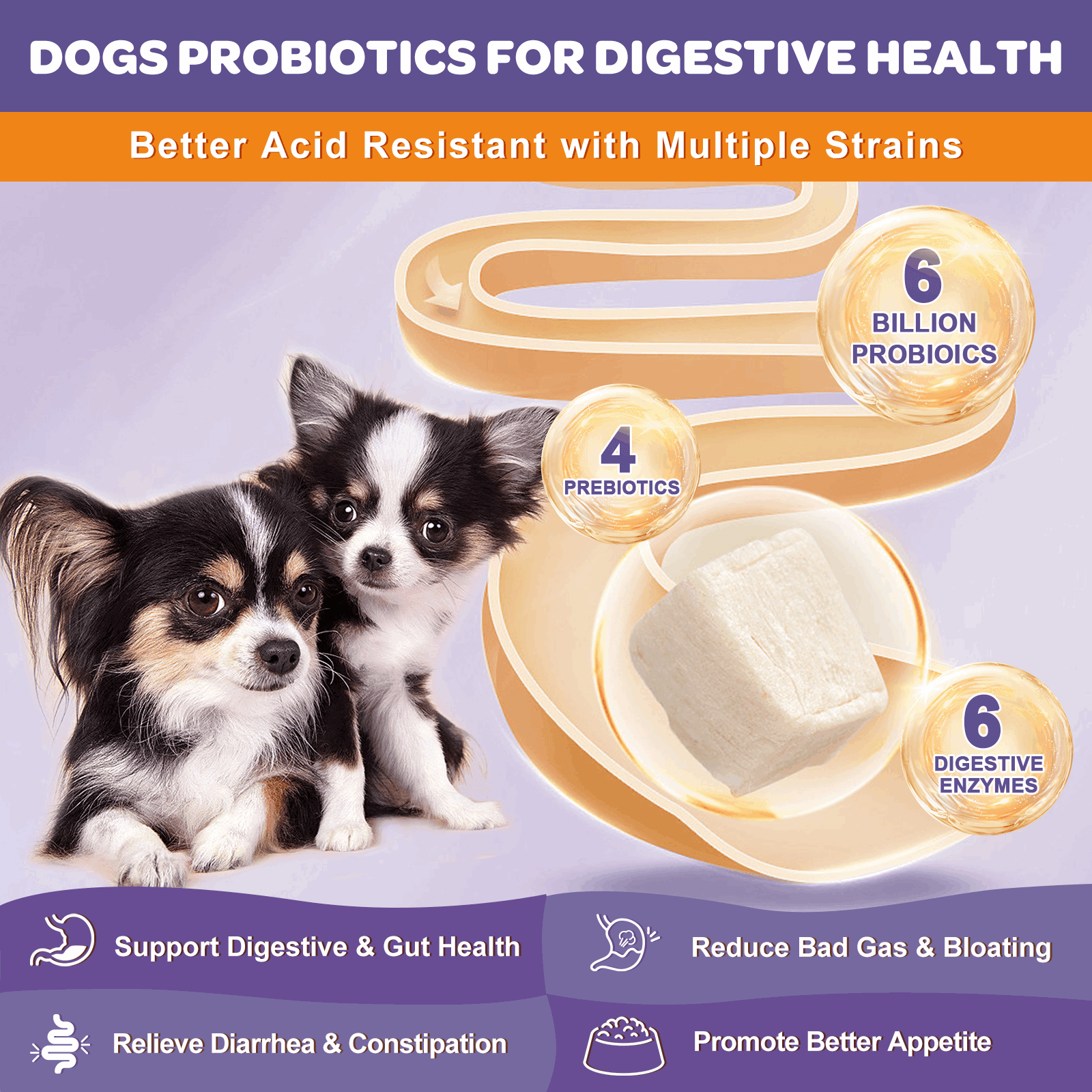 Dog probiotics for 2024 gas