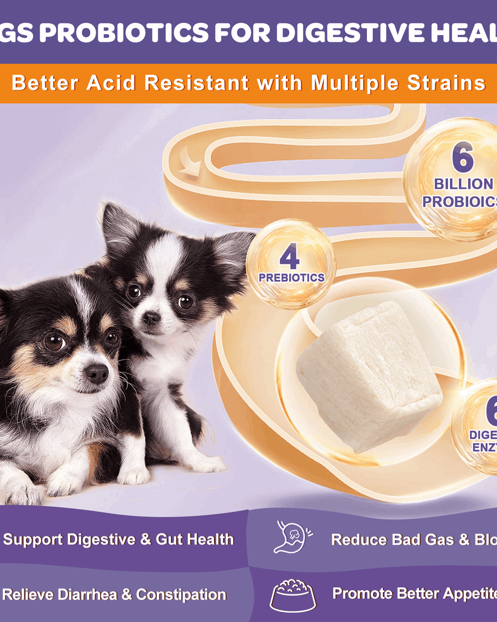 Probiotics + Prebiotics + Digestive Enzymes + Omega 3 for Dogs & Cats ...