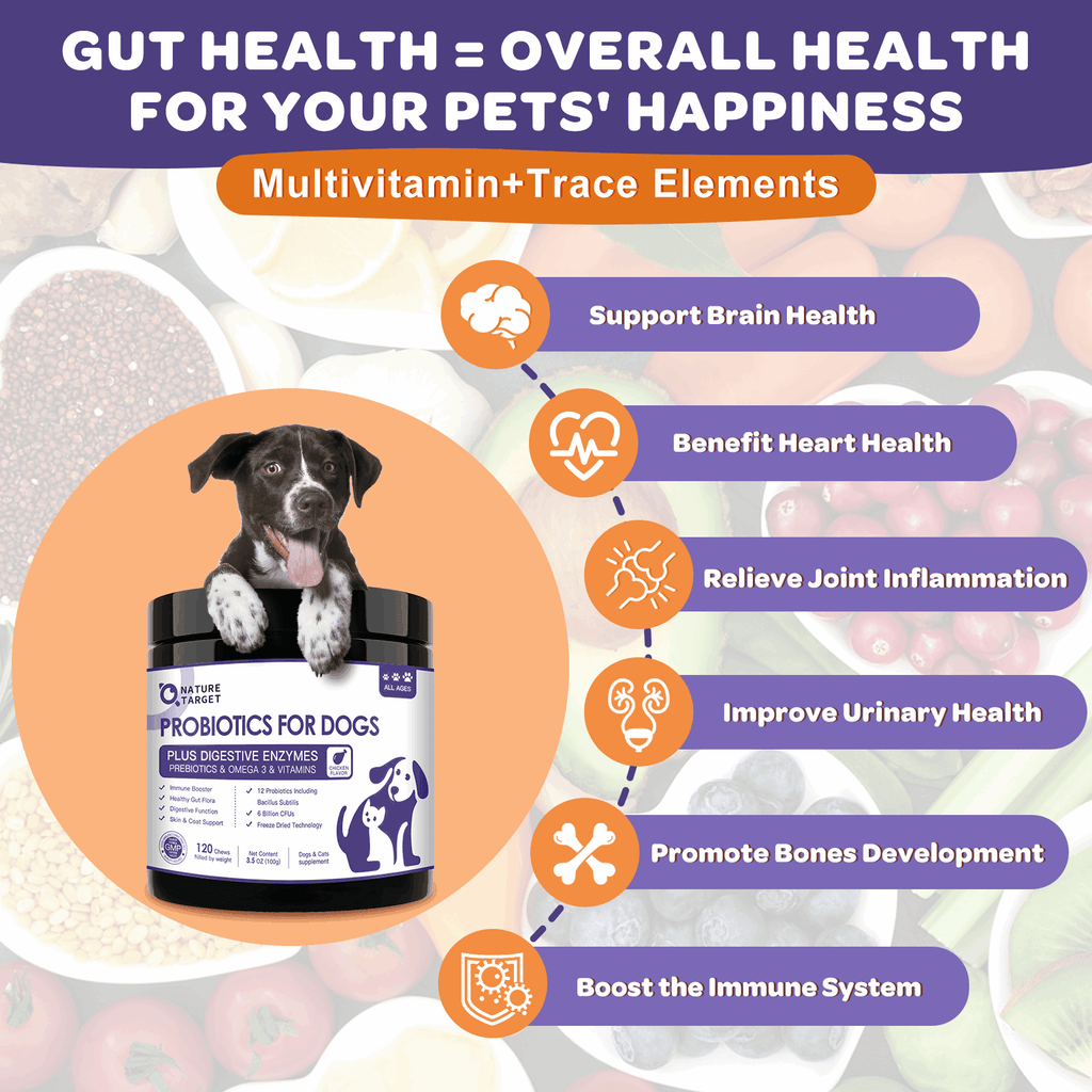 Probiotics + Prebiotics + Digestive Enzymes + Omega 3 for Pet Dogs