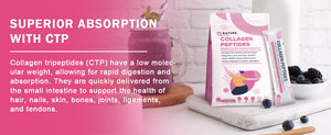 Superior-Absorption-With-Collagen-Tripeptides