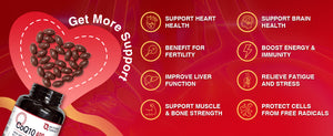Ubiquinone-Supplements-are-Beneficial-for-Your-Overall-Health
